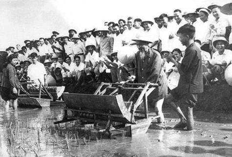 Bác Hồ dùng thử máy cấy tại trại thí nghiệm lúa thuộc Sở Nông lâm Hà Nội, năm 1960. Ảnh: TL